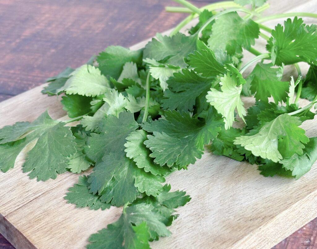 Coriander 